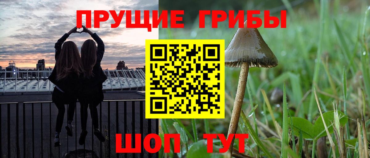 Псилоцибиновые грибы Psilocybine cubensis Белая Калитва
