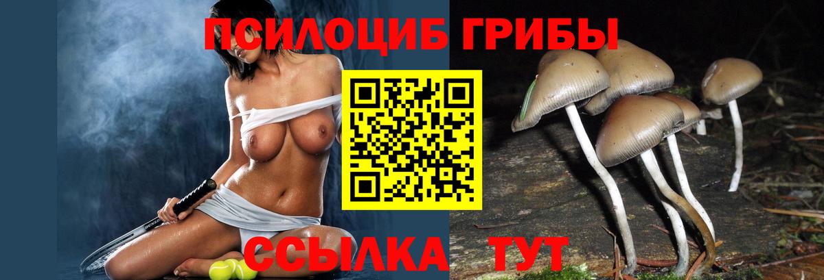 Белая Калитва  Галлюциногенные грибы мицелий  Вход с VPN 